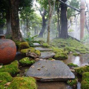 Фотографии гостиницы
Tree Scape Retreat Resort