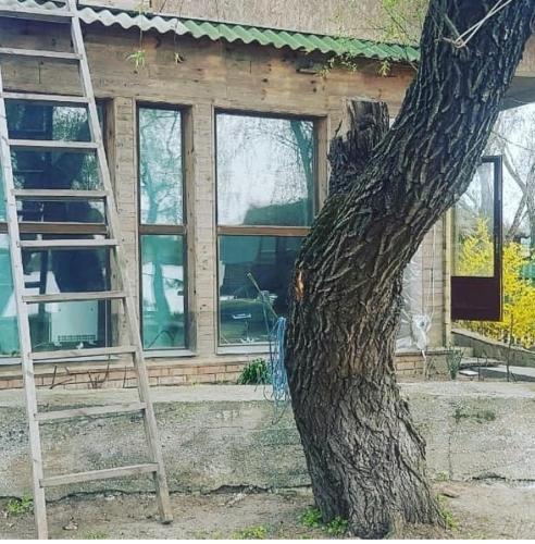 Фотография гостевого дома Вилково