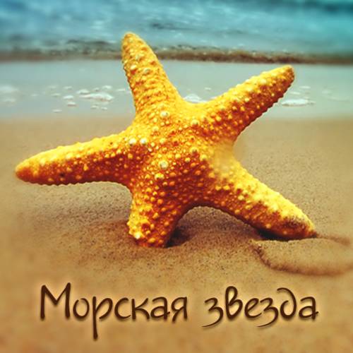 Фотографии мини отеля
Морская звезда