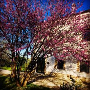 Фотографии базы отдыха
Az. Agr. Parco dei Buoi