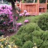 Фотография мини отеля Noclegi U Andrzeja