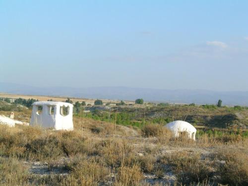 Фотография гостевого дома Cueva El Ermitano