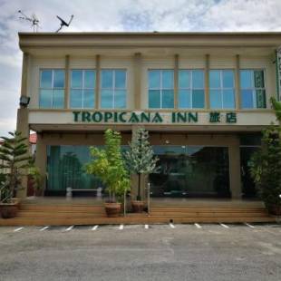 Фотографии мини отеля
Tropicana Inn