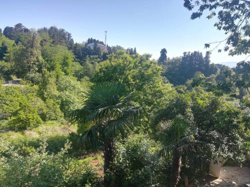 Фотография мини отеля kobuleti / cixisdziri