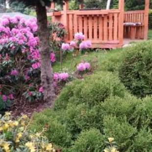 Фотографии мини отеля 
            Noclegi U Andrzeja