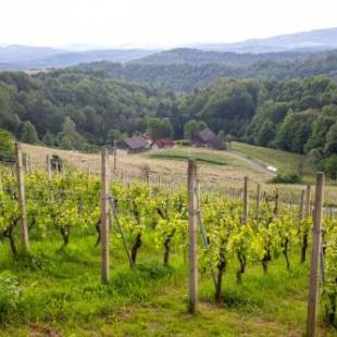 Фотографии гостевого дома
Domačija Vesel