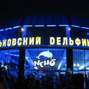 Фотография Дельфинарий Немо