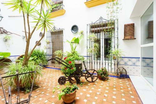 Фотография гостевого дома Hostal Ciudad Trigueros