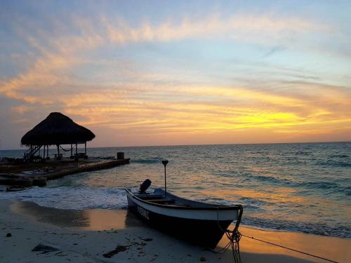 Фотография гостевого дома Dahlandia