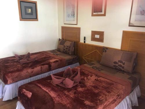 Фотография гостевого дома Phi Phi Dream Guest House