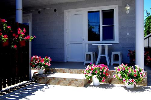 Фотография гостевого дома TANIaSAShA