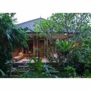 Фотографии мини отеля
In Da Garden