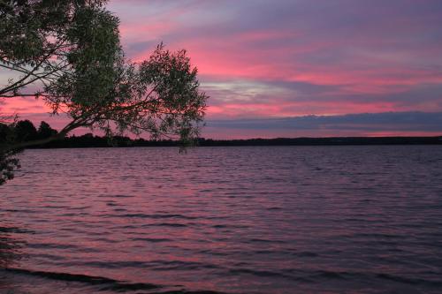 Фотографии гостевого дома
На Сосновом Бору, 37