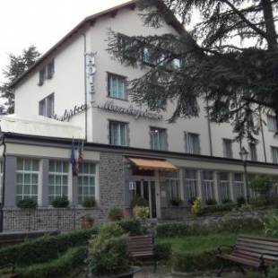 Фотографии гостиницы 
            Hotel Montepizzo