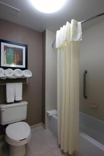 Фотография гостиницы Homewood Suites by Hilton St. Louis - Galleria