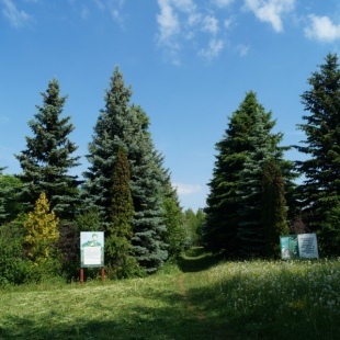 Фотография достопримечательности Сергачский дендропарк
