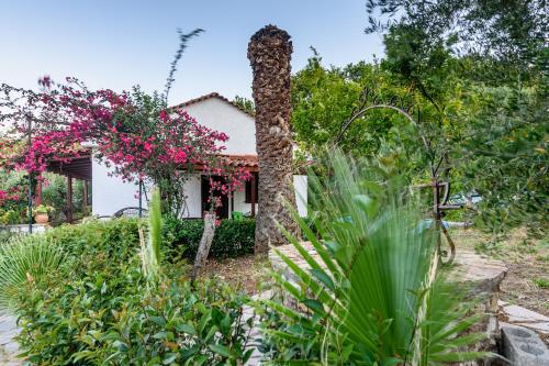 Фотография гостевого дома The Fairytale House Seaside Retreat