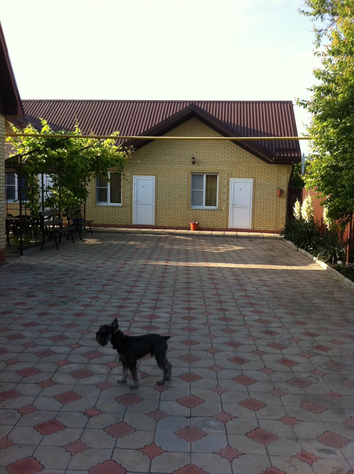 Фотография гостевого дома Династия