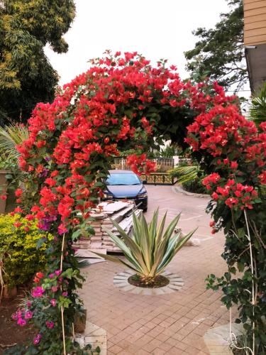 Фотография гостевого дома Cozy House