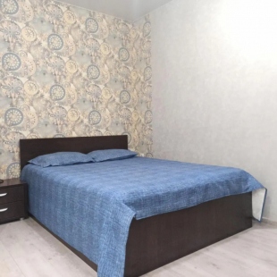 Фотография квартиры Апартаменты на проспекте Российской Армии 2/2