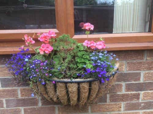 Фотография мини отеля Sunnyside Annexe