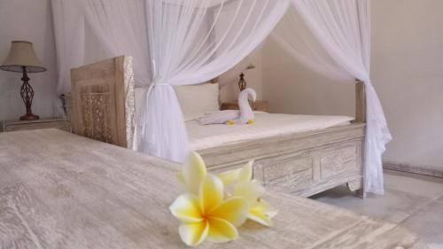 Фотография мини отеля Candra Surf Homestay