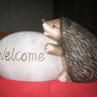 Фотографии мини отеля 
            Hotel Elite B&B