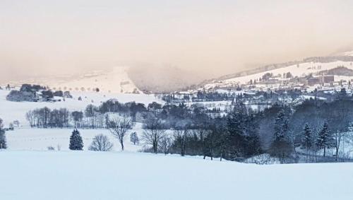 Фотография гостевого дома Chalet BERGgrün Willingen