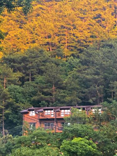 Фотография гостевого дома Сказка у моря