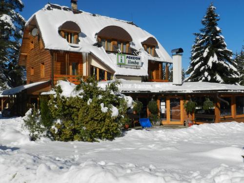 Фотография гостевого дома Penzion Limba