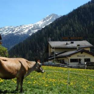 Фотографии гостиницы
Hotel Restaurant Walserhof
