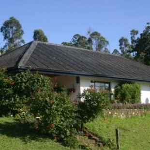 Фотография гостевого дома Samango paradise in the Vumba