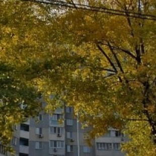 Фотография гостиницы SkyHome на Науки