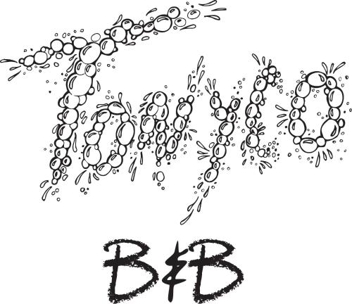 Фотография мини отеля B&b Tonyco