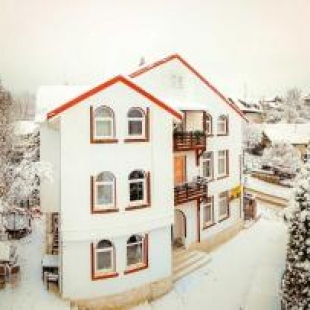 Фотография гостевого дома Pensiunea Nicolas