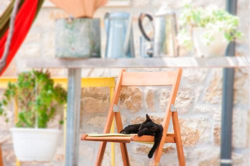 Фотографии хостела
Himara Hostel