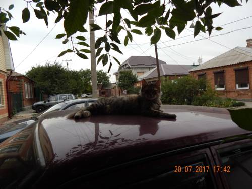 Фотографии гостевого дома 
            На Краснодарской, 40