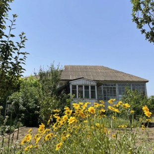 Фотография Коттеджа Частный дом в цветущем саду