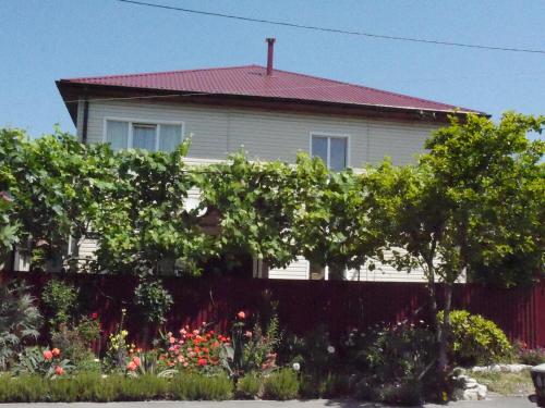 Фотография гостевого дома Мимоза