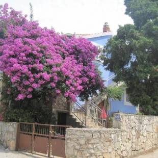 Фотографии гостевого дома
Apartments by the sea Maslinica, Solta - 14748