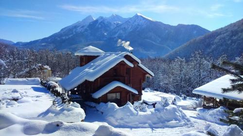 Фотография гостевого дома Tree of Life