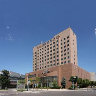 Фотографии гостиницы 
            Hotel Nikko Northland Obihiro