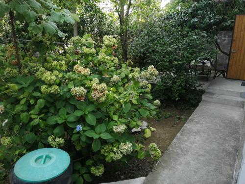 Фотографии гостевого дома
Гостевой дом у Марины