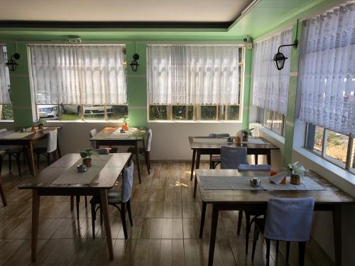 Фотография хостела Araucária Hostel