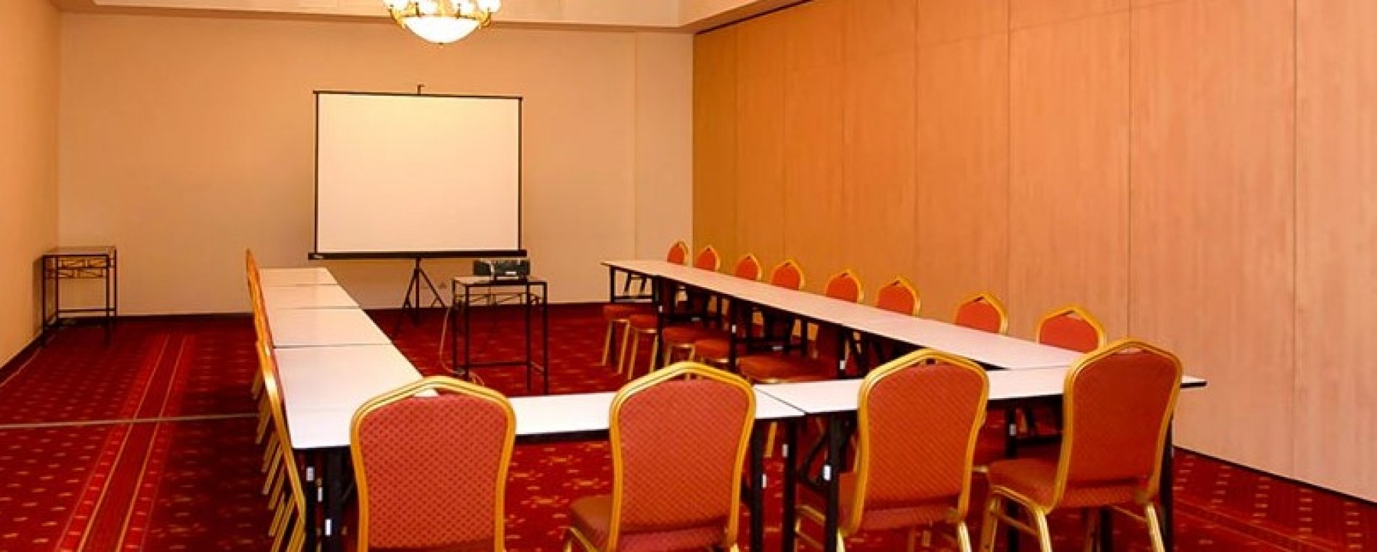 Фотографии конференц-зала Фетовский зал