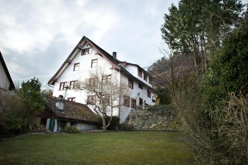 Фотография гостиницы Flyhof