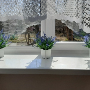 Фотография квартиры Квартира Ваш дом в Карелии