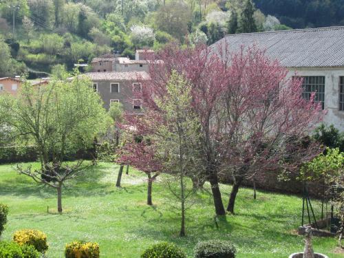 Фотография гостевого дома CASA DE JULIO MARROQUIN