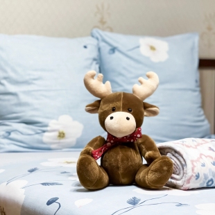 Фотография квартиры Квартира Классическая на 339