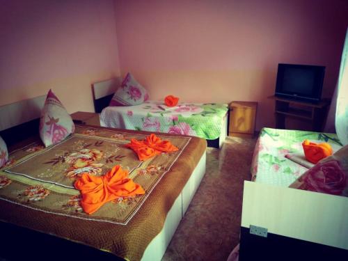 Фотографии гостевого дома 
            Кодрянка